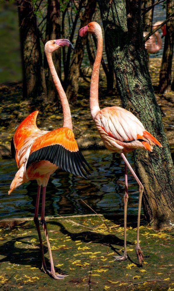 Photograph by Рахманин Михаил