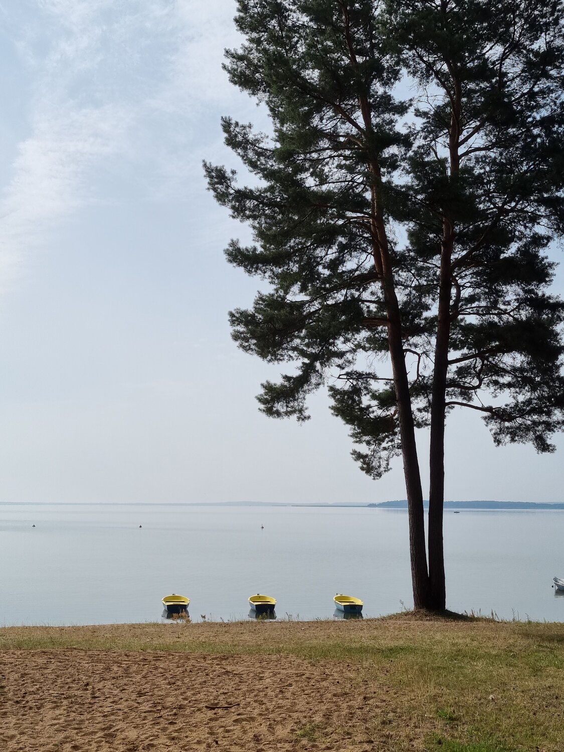 Photo #9787823