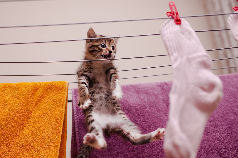 Photograph by Гузалия Галиуллина