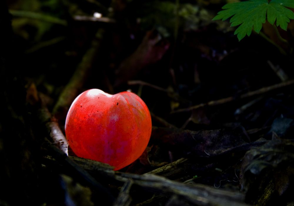 Photograph by Панюшкин Андрей