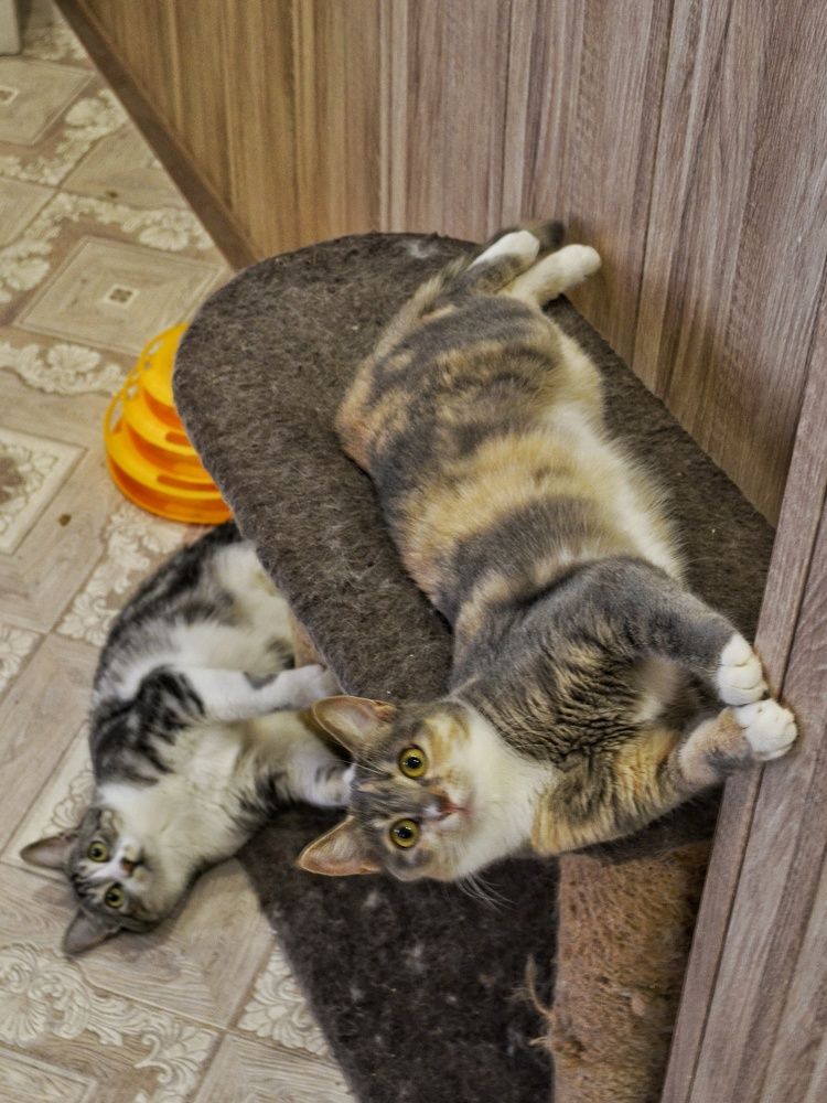 Photograph by Василиса Прекрасная