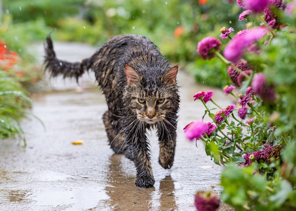 Photograph by NADEZHDA PELYMSKAIA