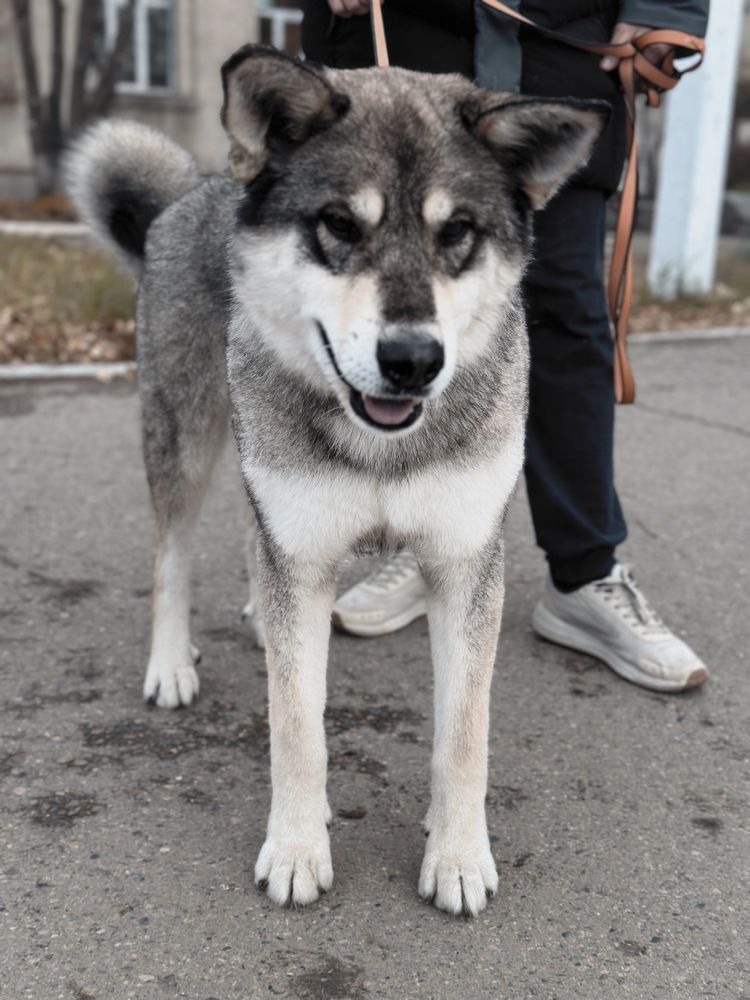 Photograph by Ирина Маркина