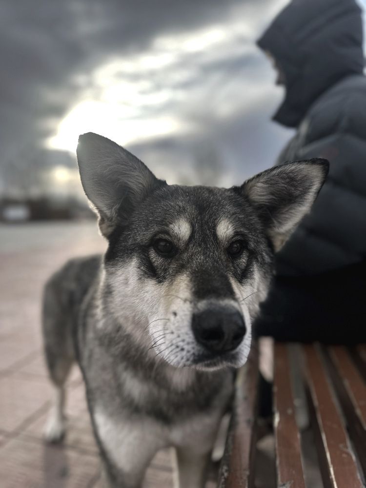 Photograph by Ирина Маркина