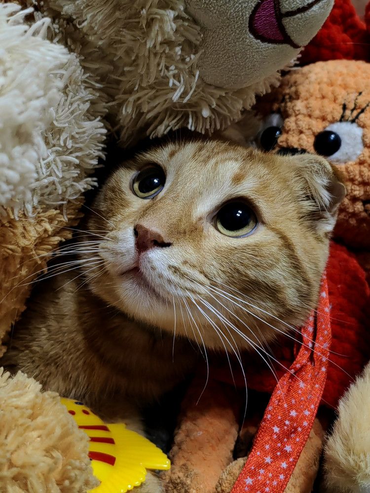 Photograph by Ульяна Кузьмина