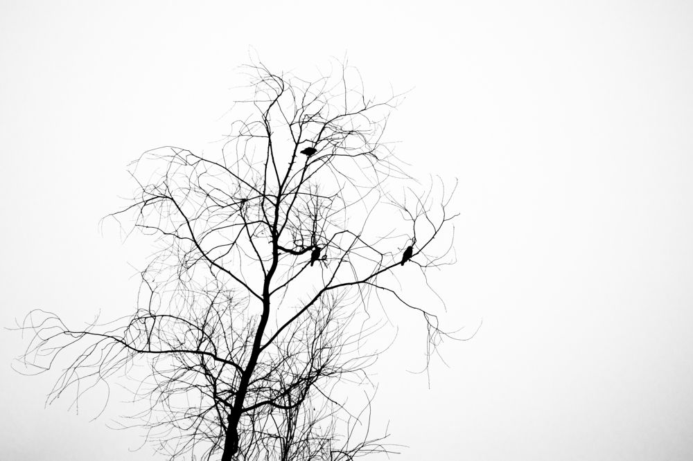 Photograph by Aritra Mukherjee