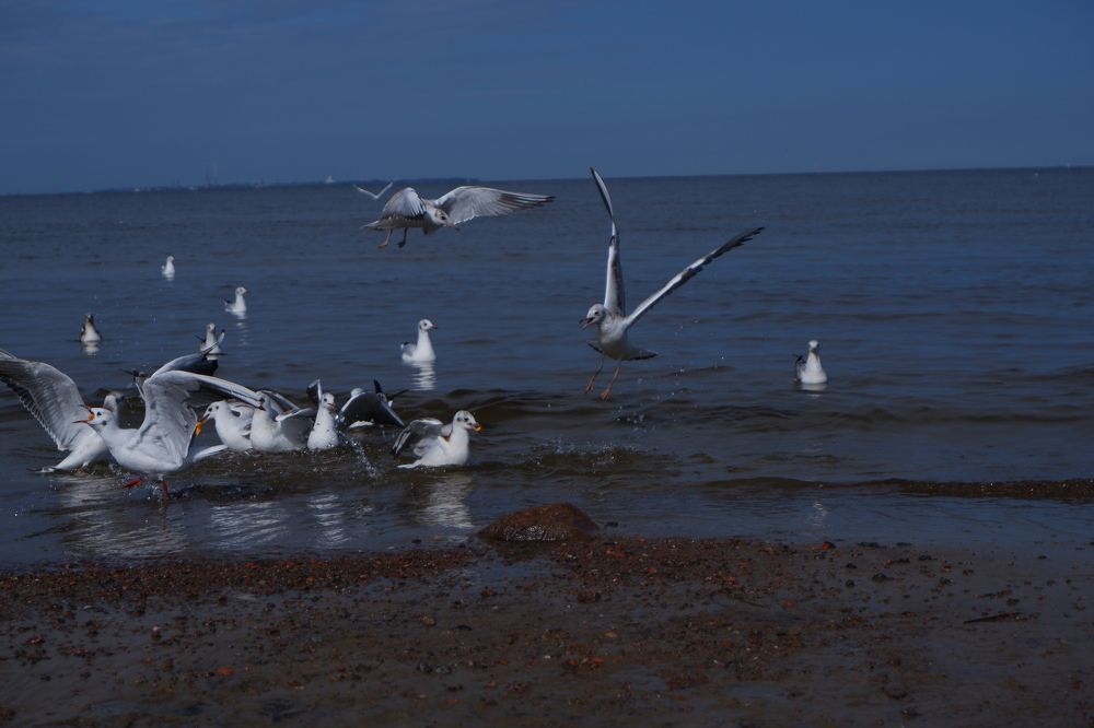 Photograph by Надежда