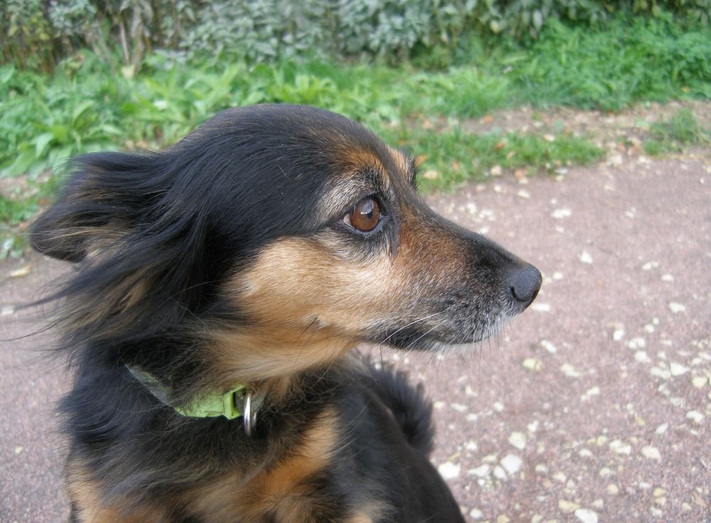 Photograph by Анна Курбатова