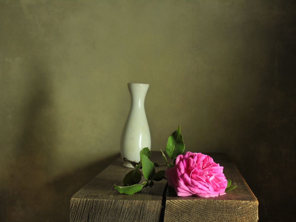 Фотография автора Ганина Галина