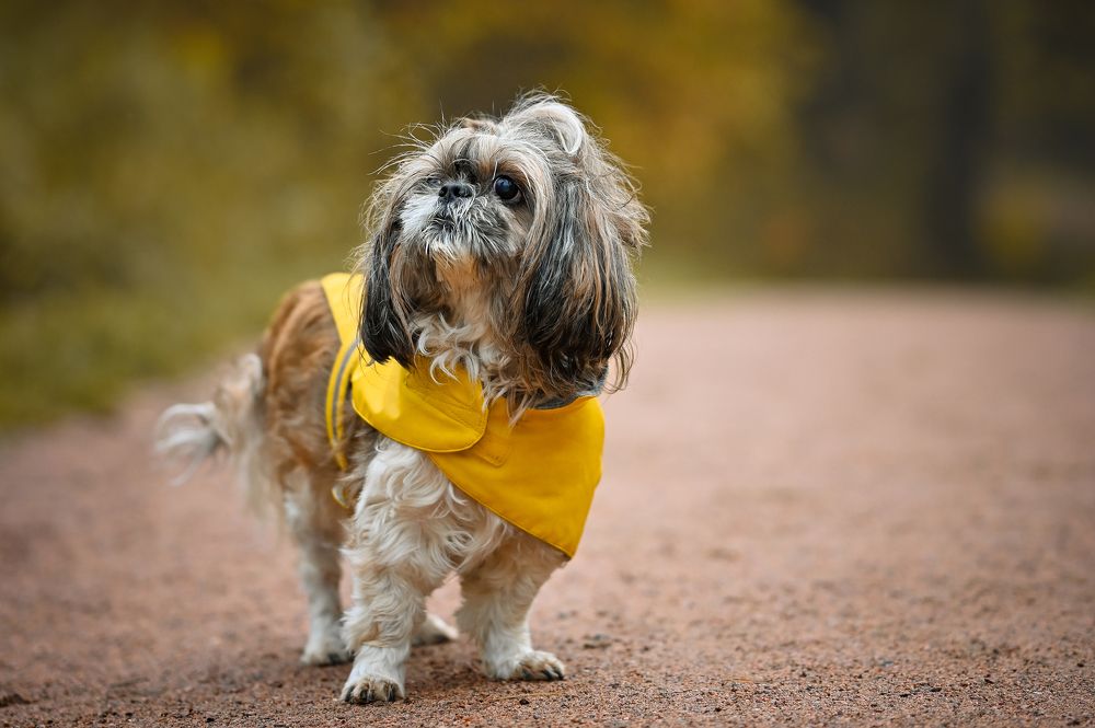 Photograph by Наталья Гришаева