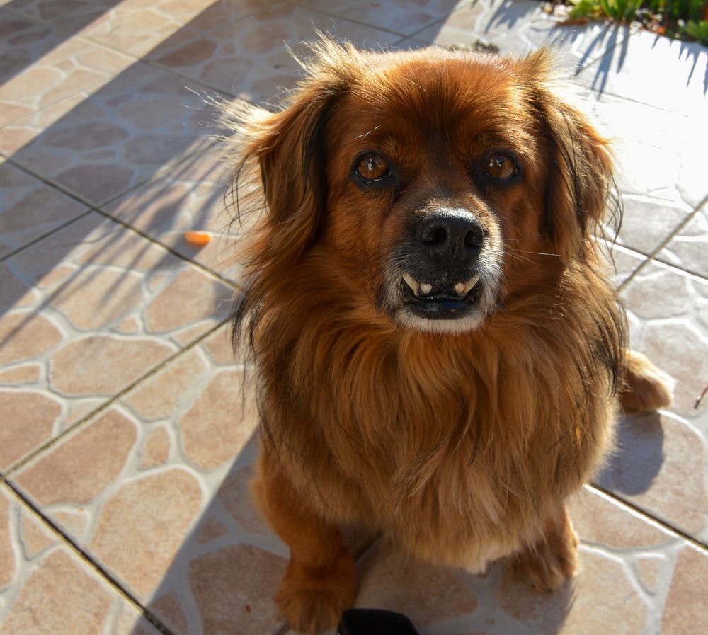 Photograph by Luka Milevoj