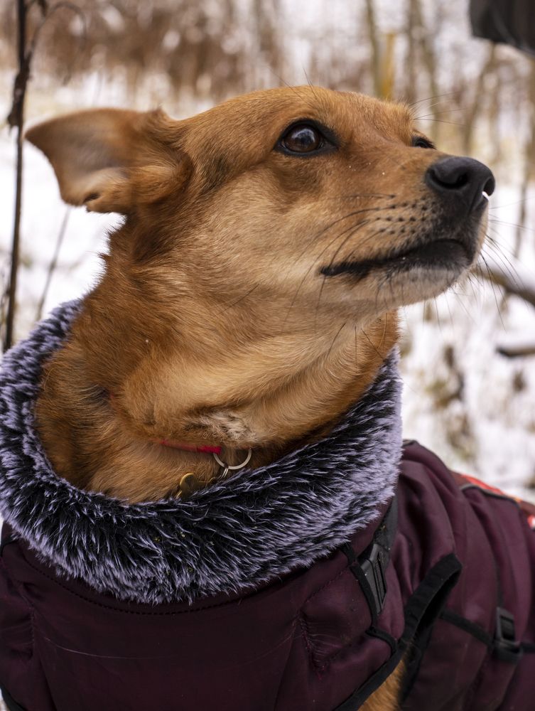 Photograph by Олеся