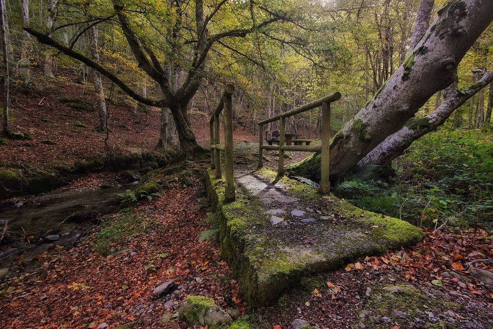 Photograph by José Ángel Villoslada Moreno