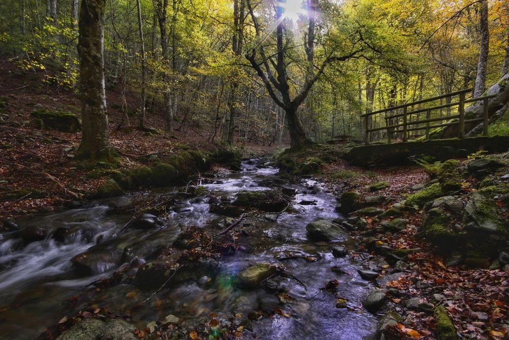 Photograph by José Ángel Villoslada Moreno