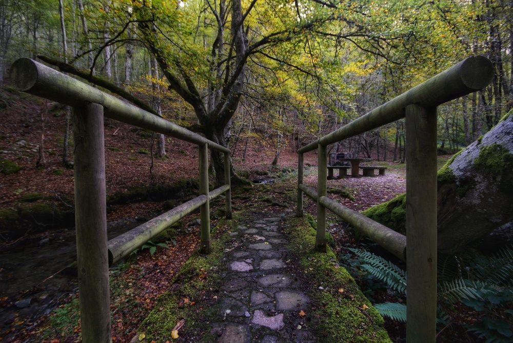 Photograph by José Ángel Villoslada Moreno