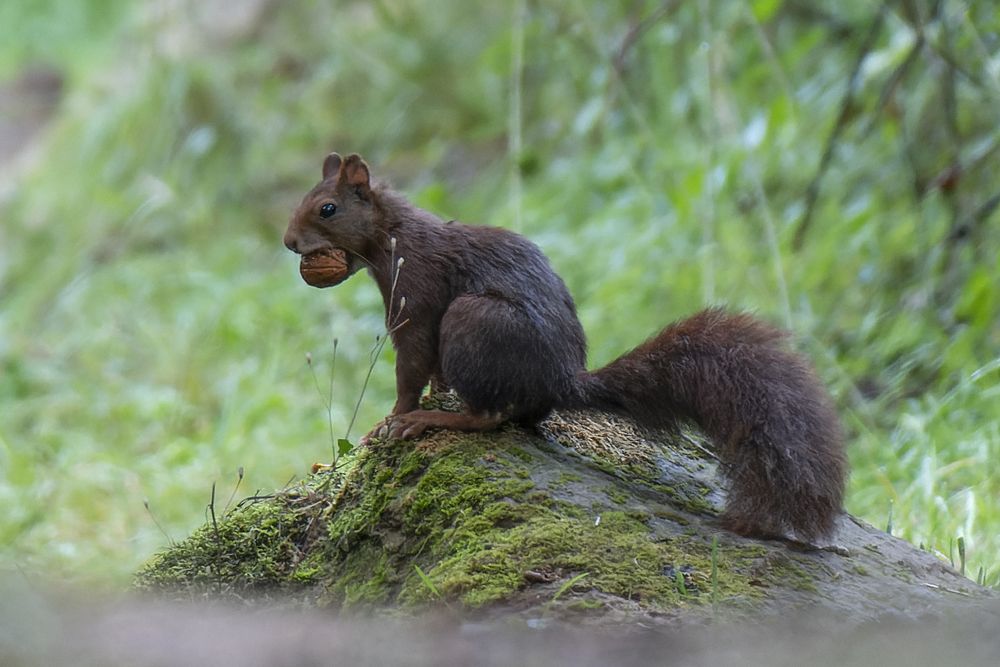 Photograph by José Ángel Villoslada Moreno