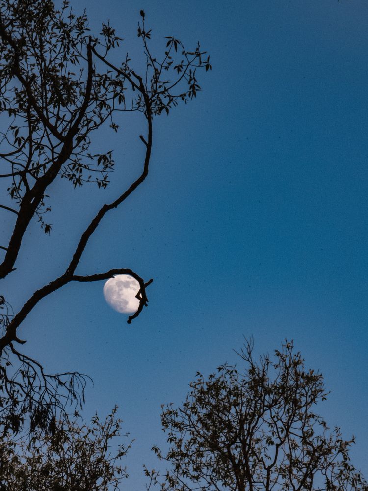 Photograph by Сергей Андреев