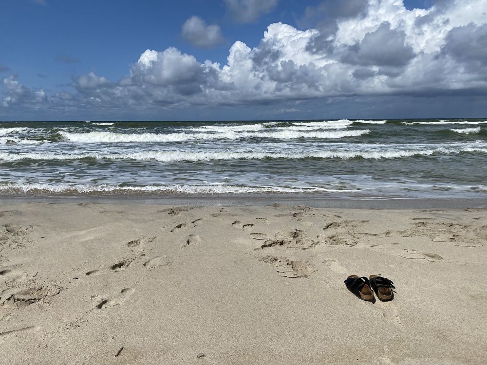 Фотография автора Ольга Горюнова