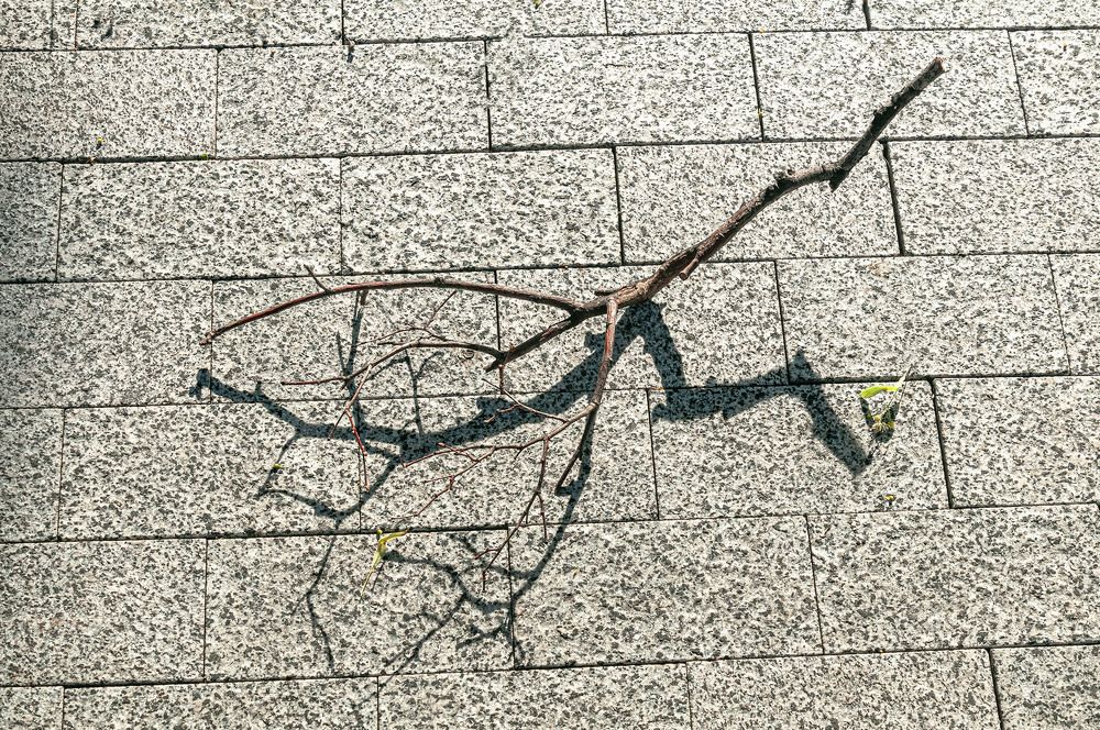 Photograph by Vladimir  Komarov