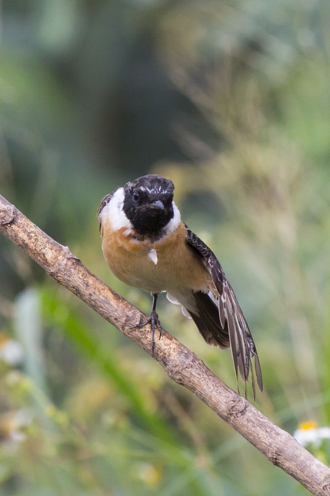 Photograph by HOANG MINH