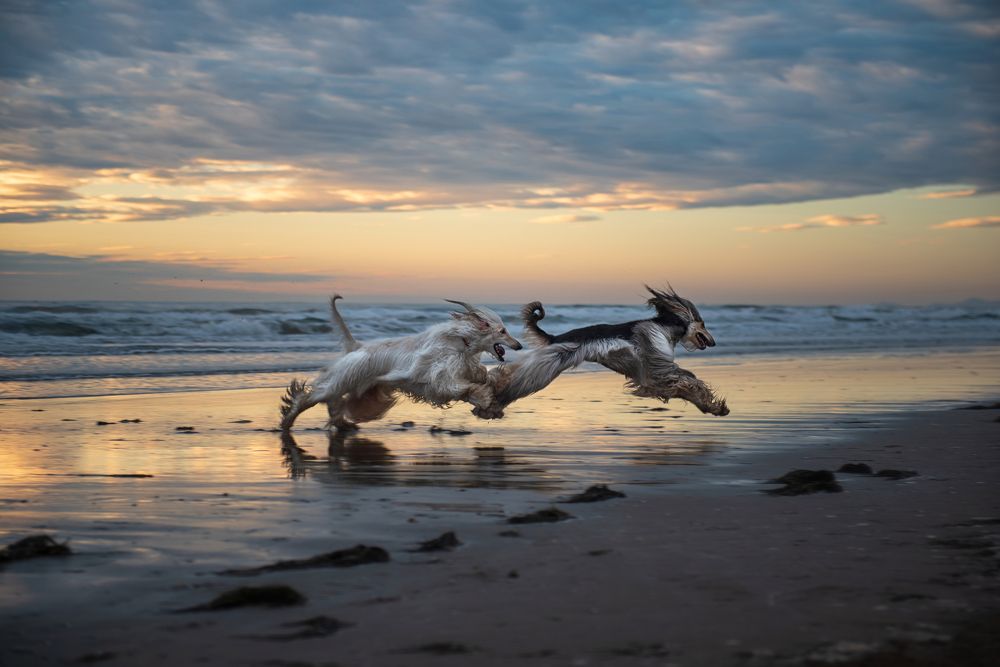 Photograph by Evgeniya Stafeeva