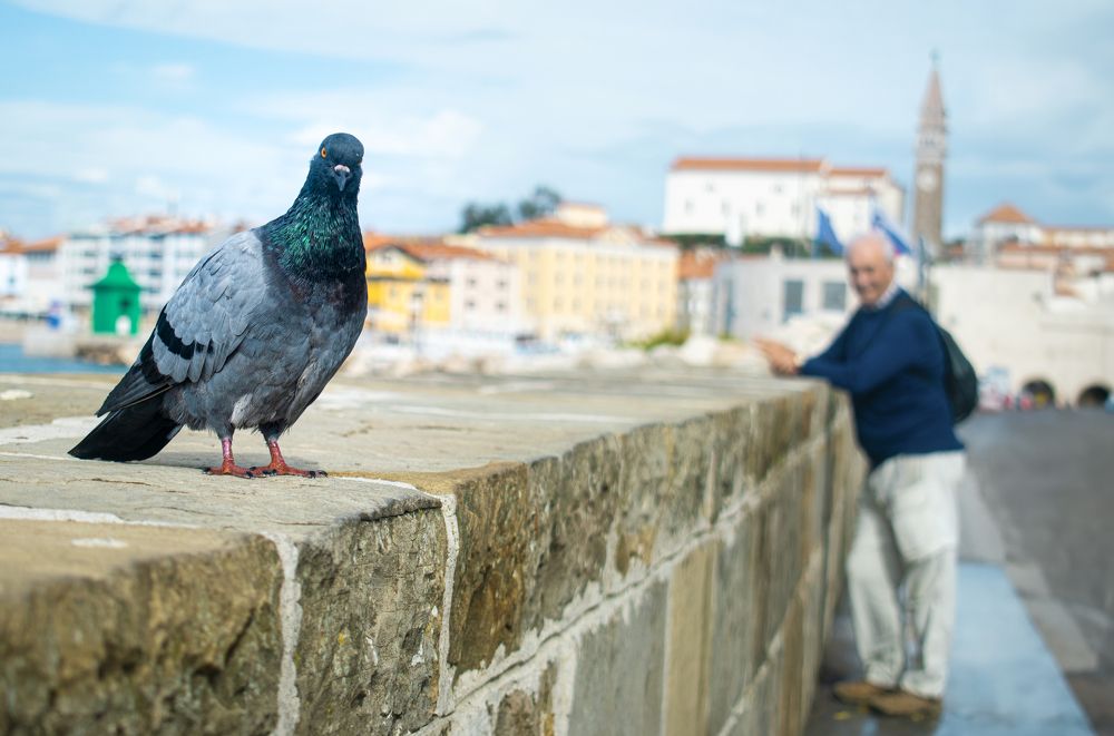Photograph by Aleksandar Stojchevski