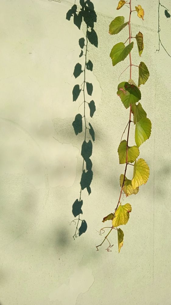 Photograph by Кристина Павлюченко