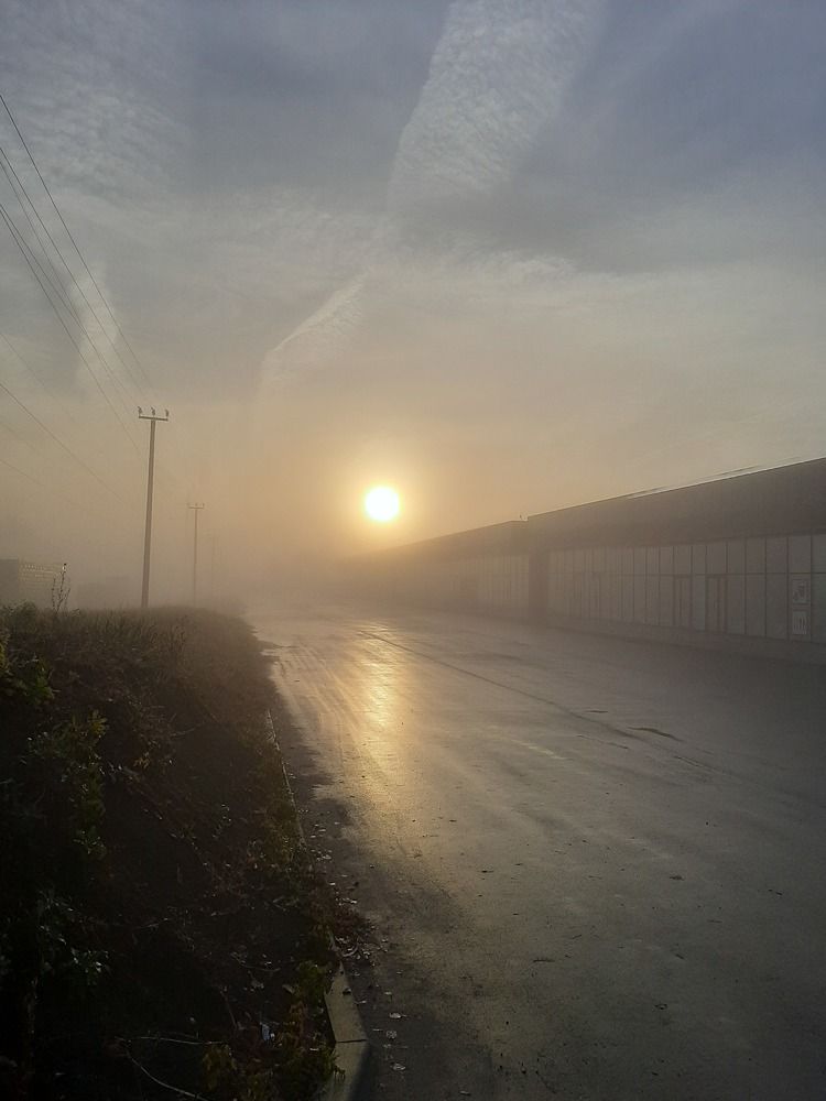 Photograph by Курчина Вероника