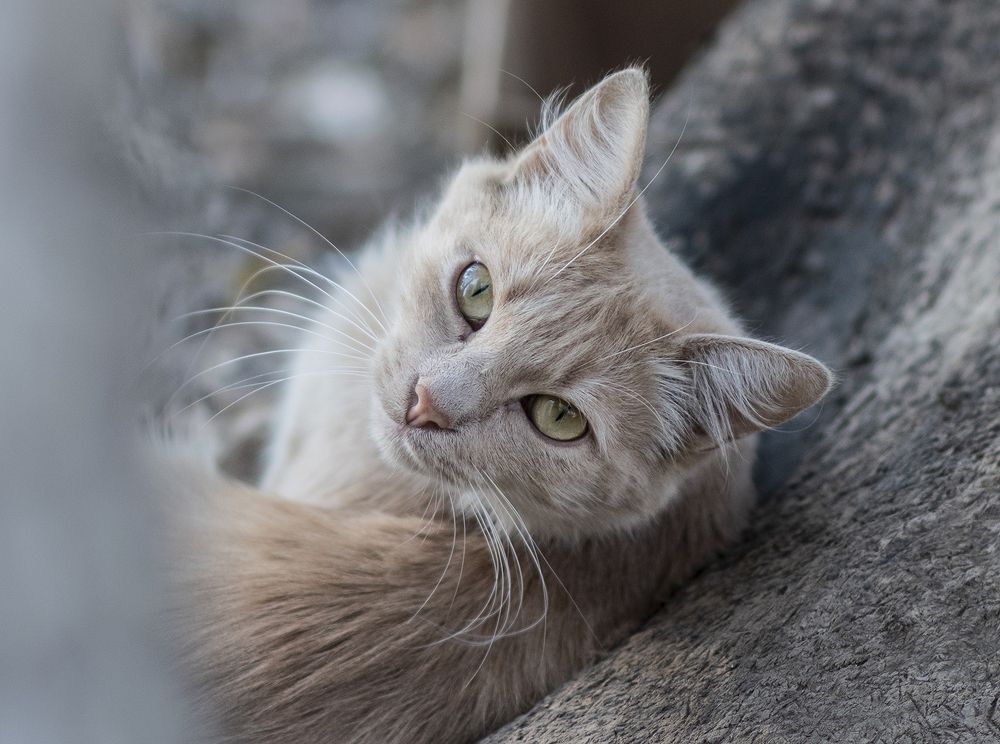 Photograph by Ирина Шипунова