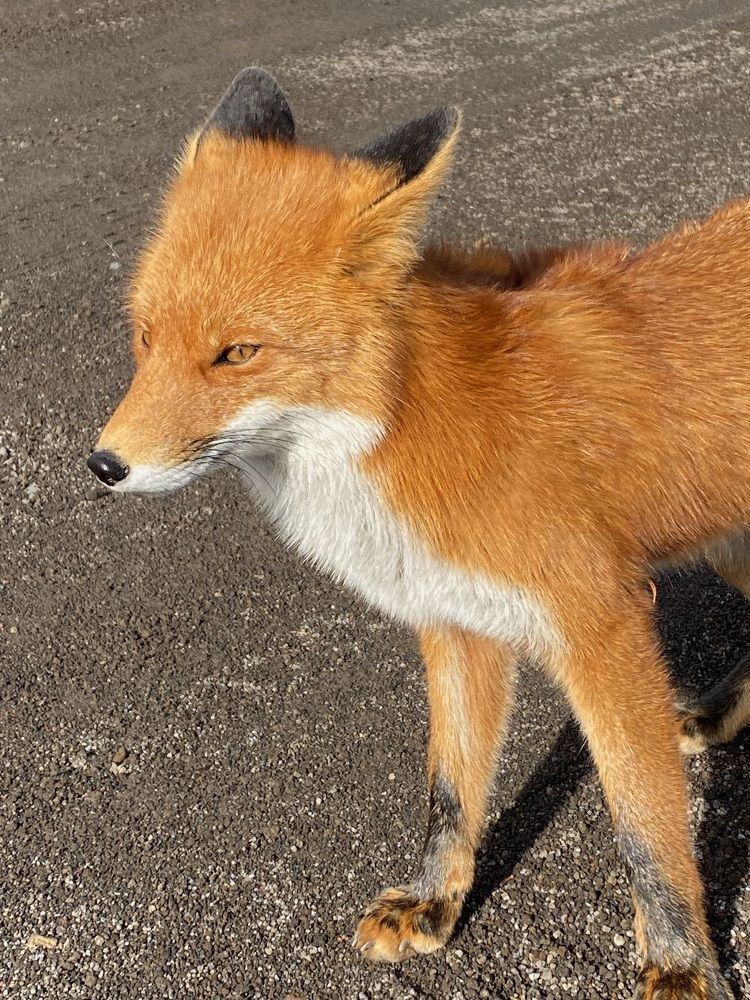 Photograph by Юлия