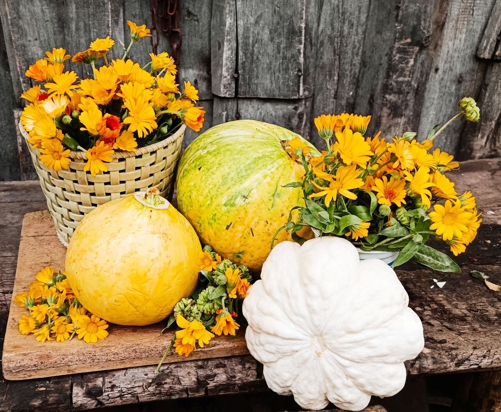 Осенние посиделки