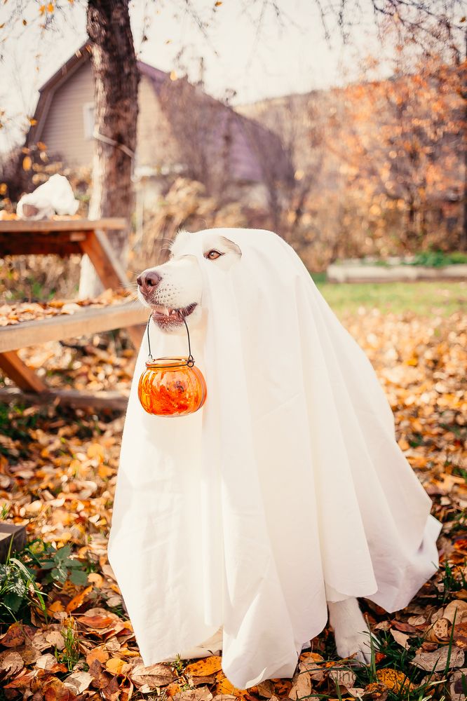 Photograph by Алина Перескокова