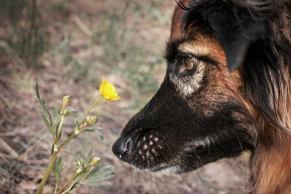 Photograph by Альфия Агзамова