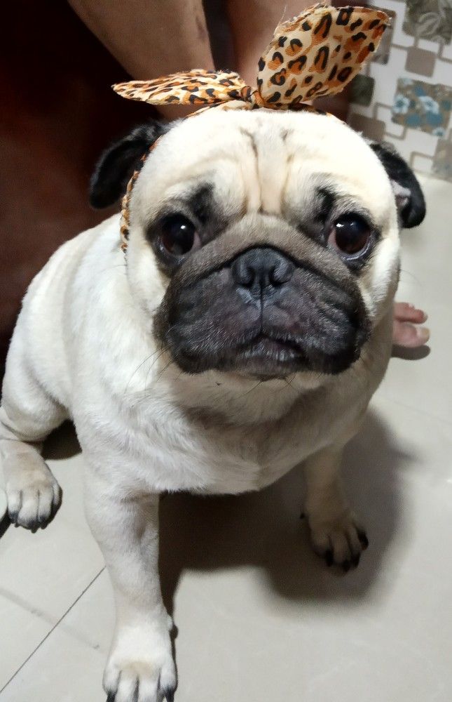 Photograph by Kapil Singh