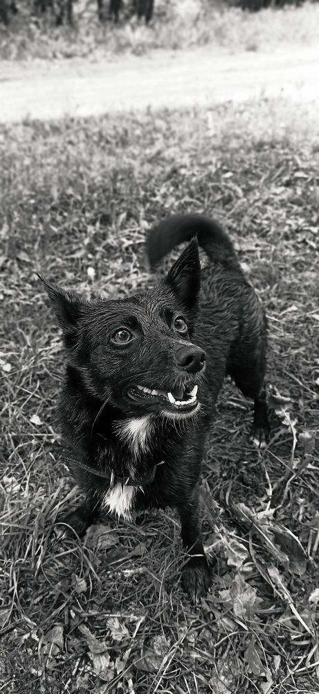Photograph by Вадим Кумпяк