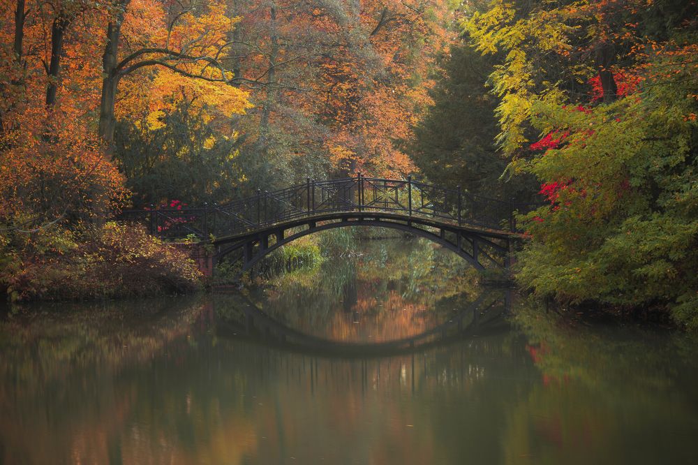 Photograph by Damian Cyfka