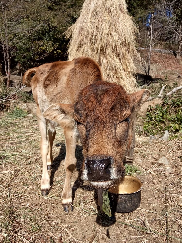 Photograph by Kapil Singh