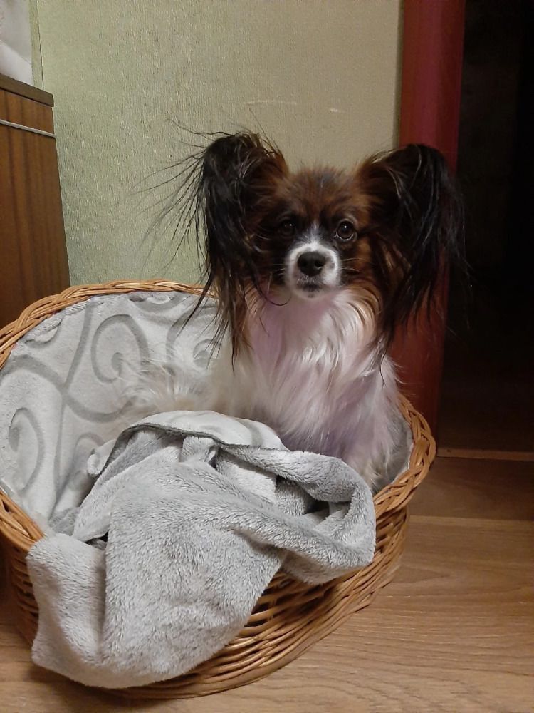 Фотография автора Ганина Галина