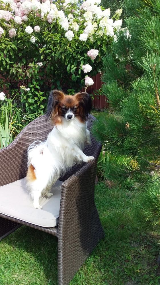 Фотография автора Ганина Галина