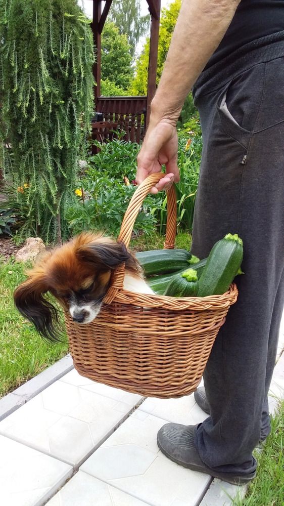 Фотография автора Ганина Галина