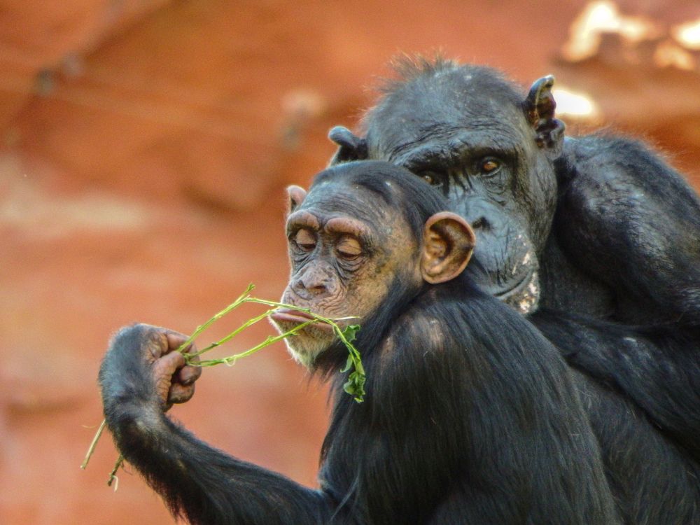 Photograph by Vitalii Kaznin