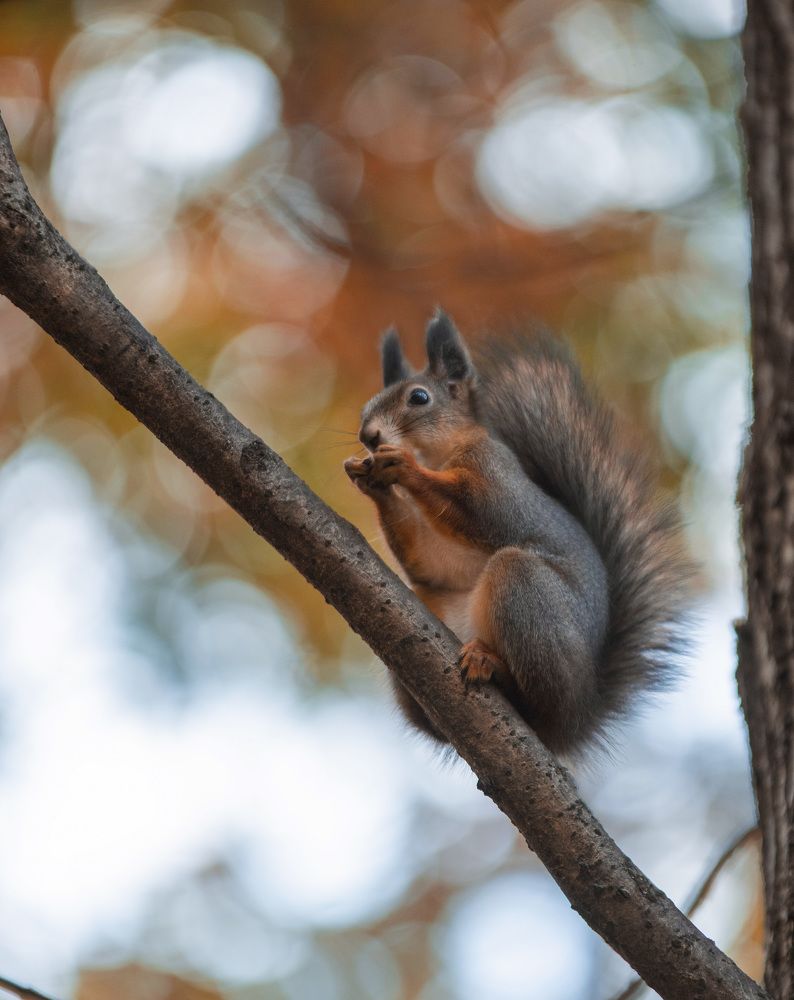 Photograph by вероника