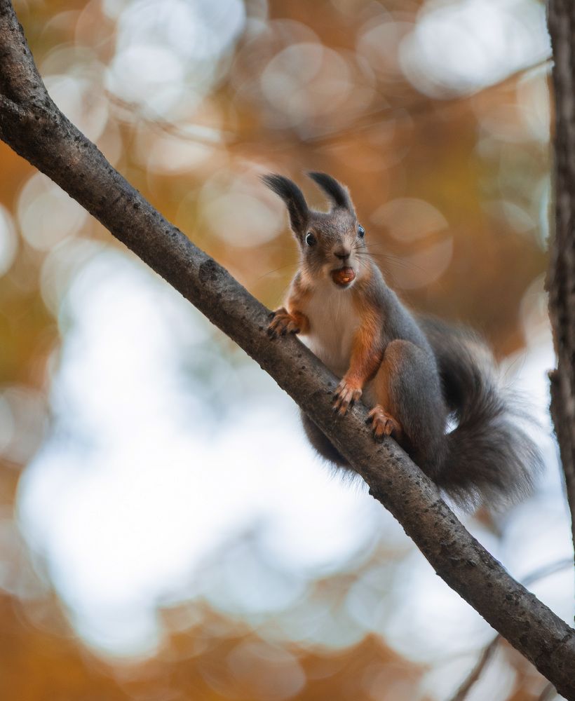 Photograph by вероника