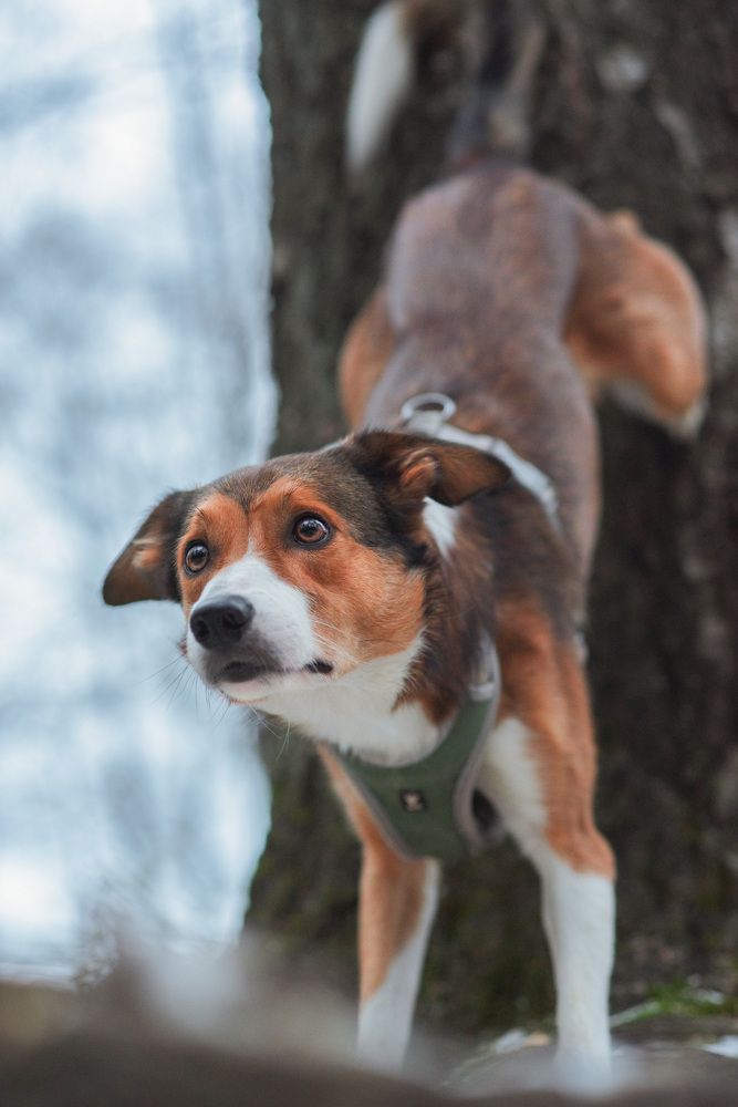 Photograph by вероника