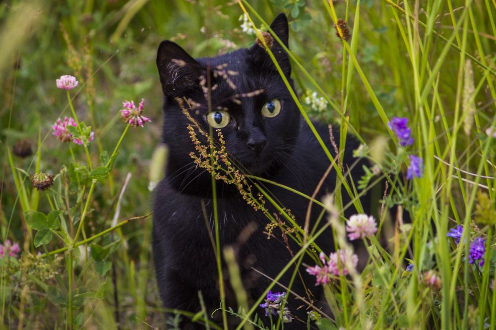 Photograph by Вячеслав Булатов