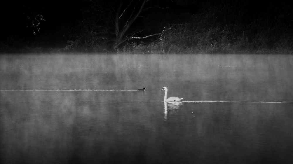 Photograph by Jan Musil