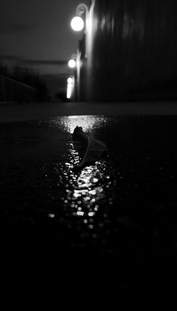 Photograph by Elena Goncharova