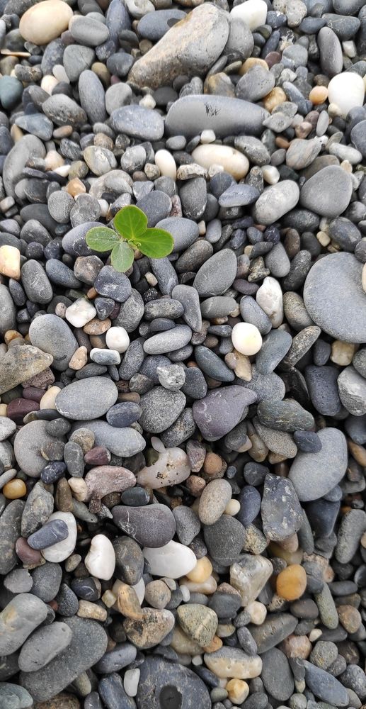 Photograph by Elena Goncharova