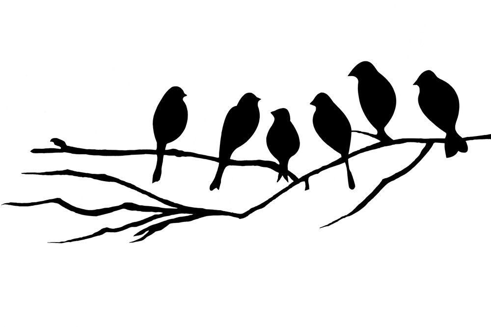 Фотография автора Seyede Elahe GHasemi