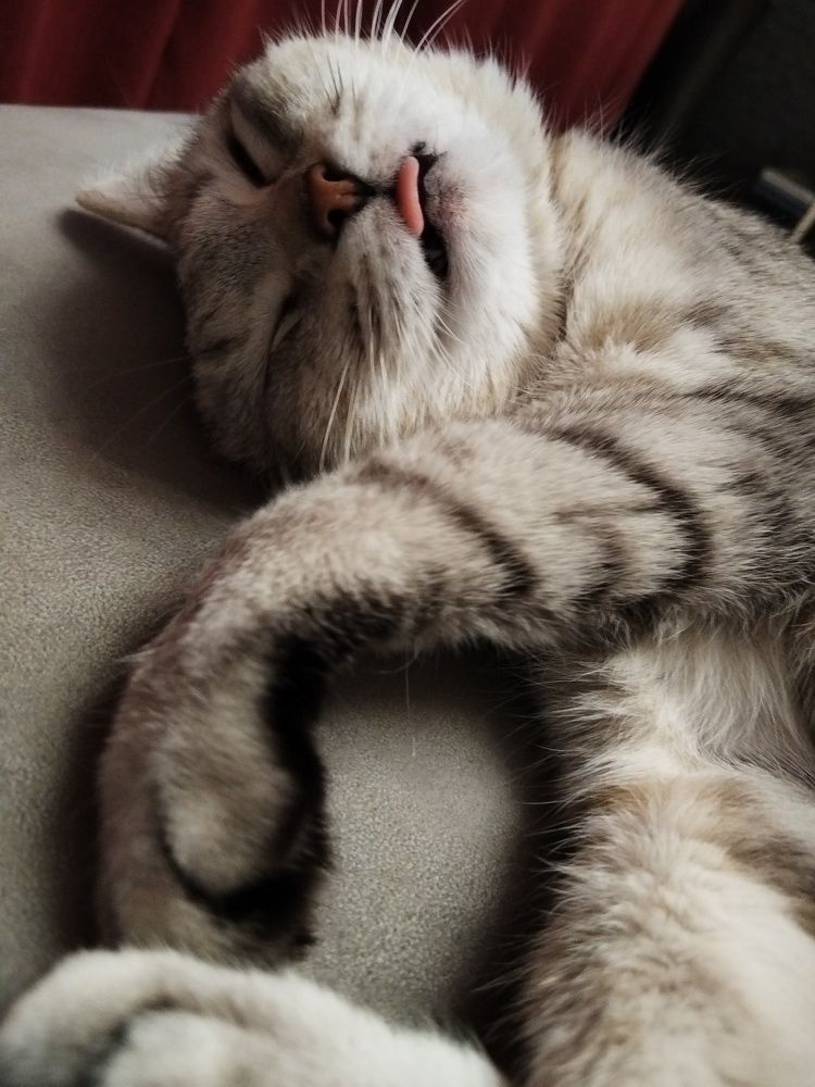 Photograph by Евгений Калагаев